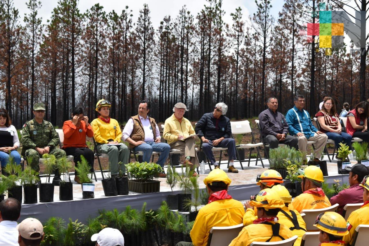 Reforestación en Las Vigas será referente nacional: Semarnat