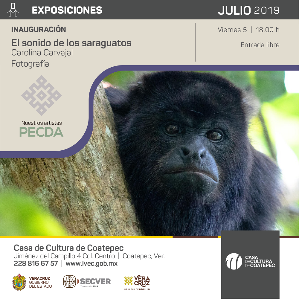 Presenta IVEC “El sonido de los saraguatos” en Casa de Cultura Coatepec