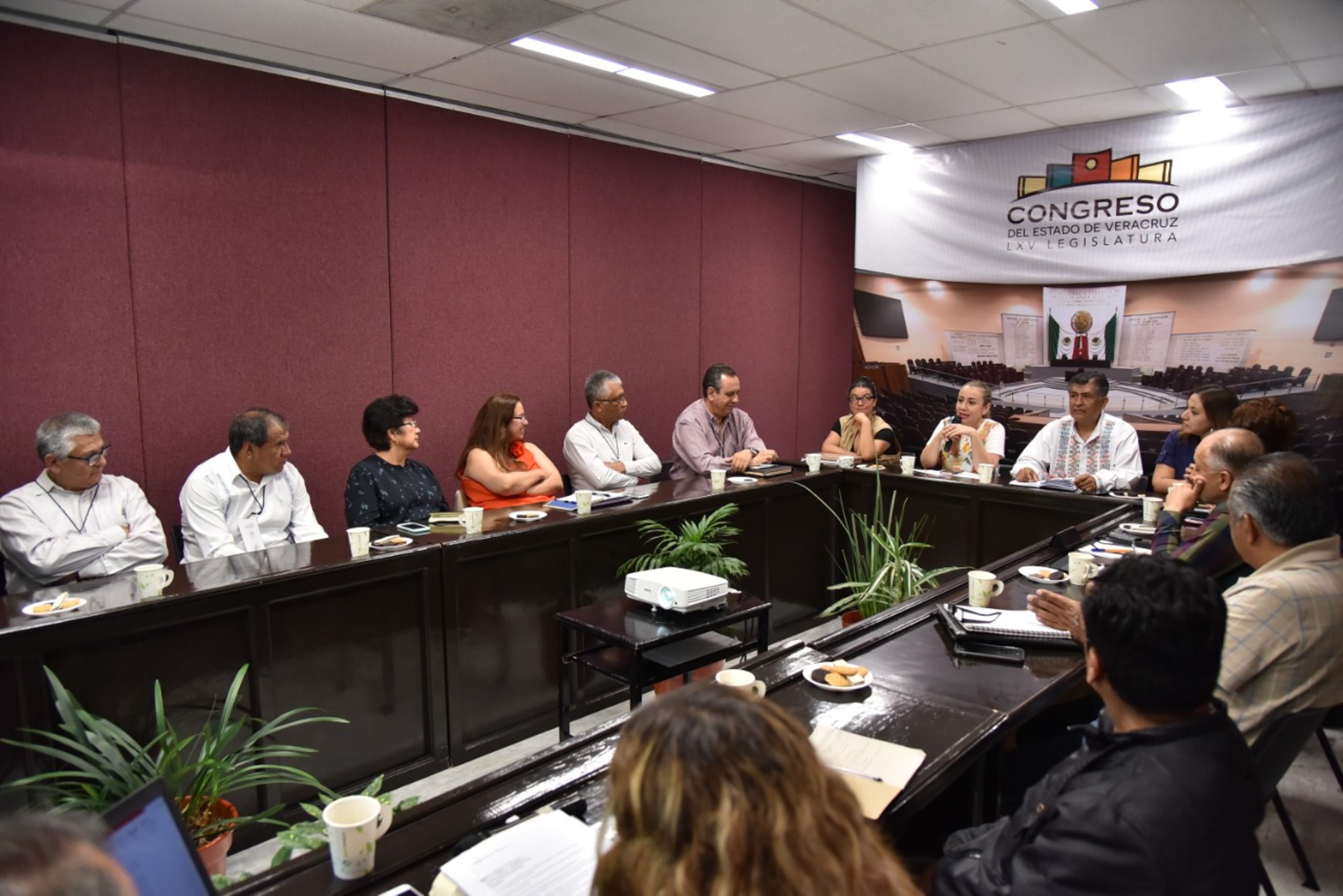 Avanza construcción de la iniciativa de Ley del Café Veracruzano