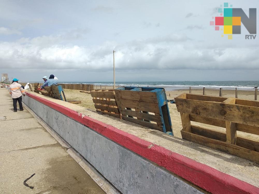 Inició la siembra de plantas y arbustos en playas de Coatzacoalcos