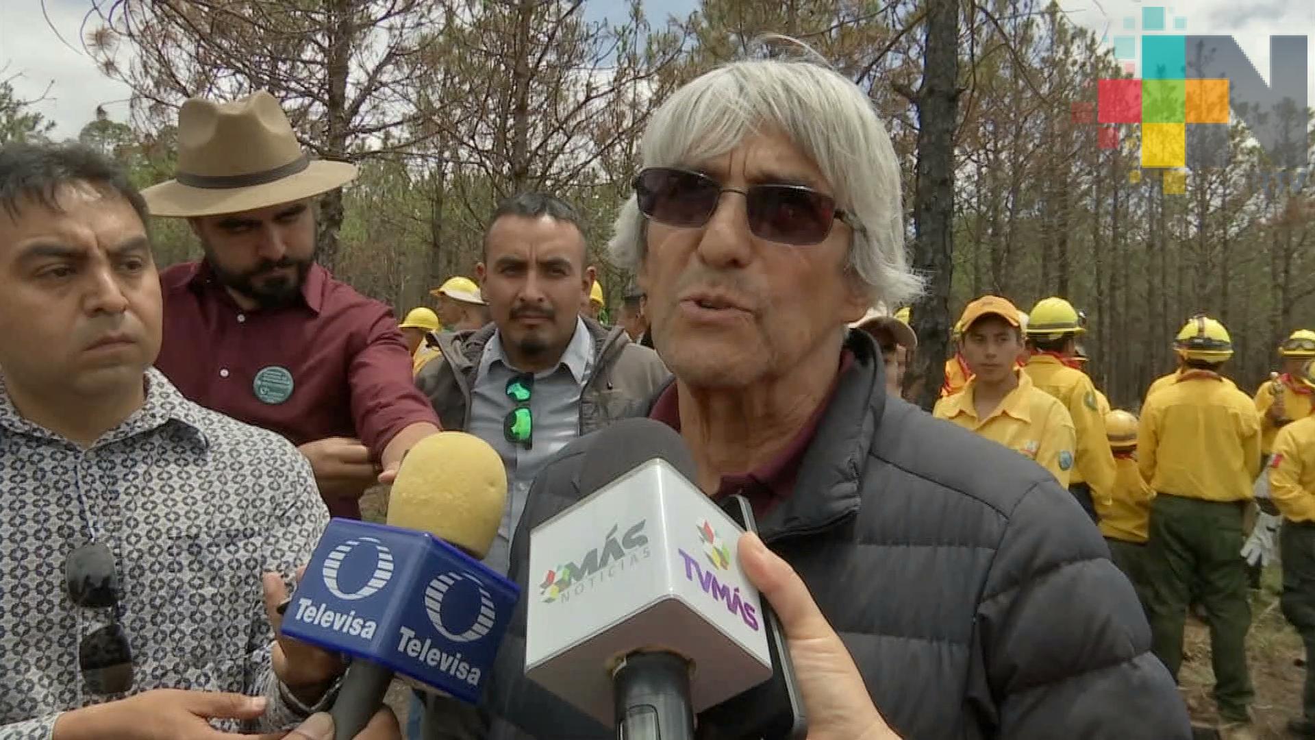 Austeridad no afecta desempeño de la Conafor: Castaños Martínez