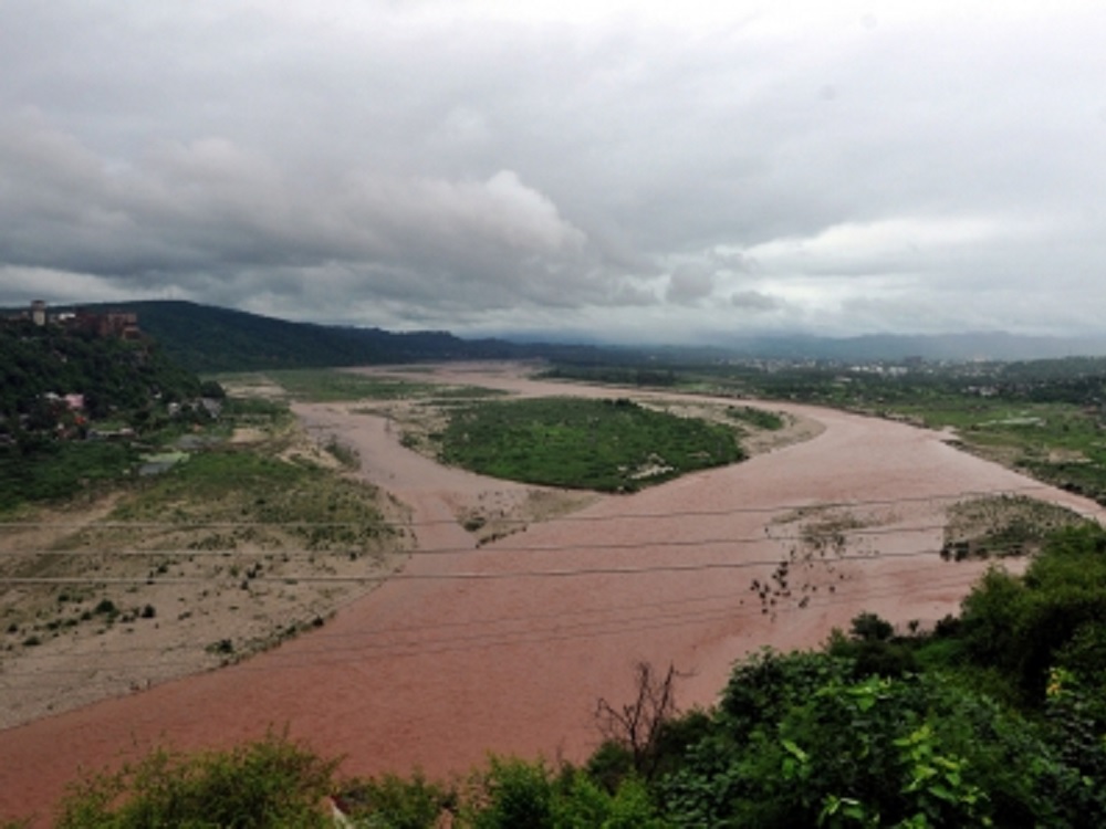 Manadas completas buscan refugio tras inundación de parque en India