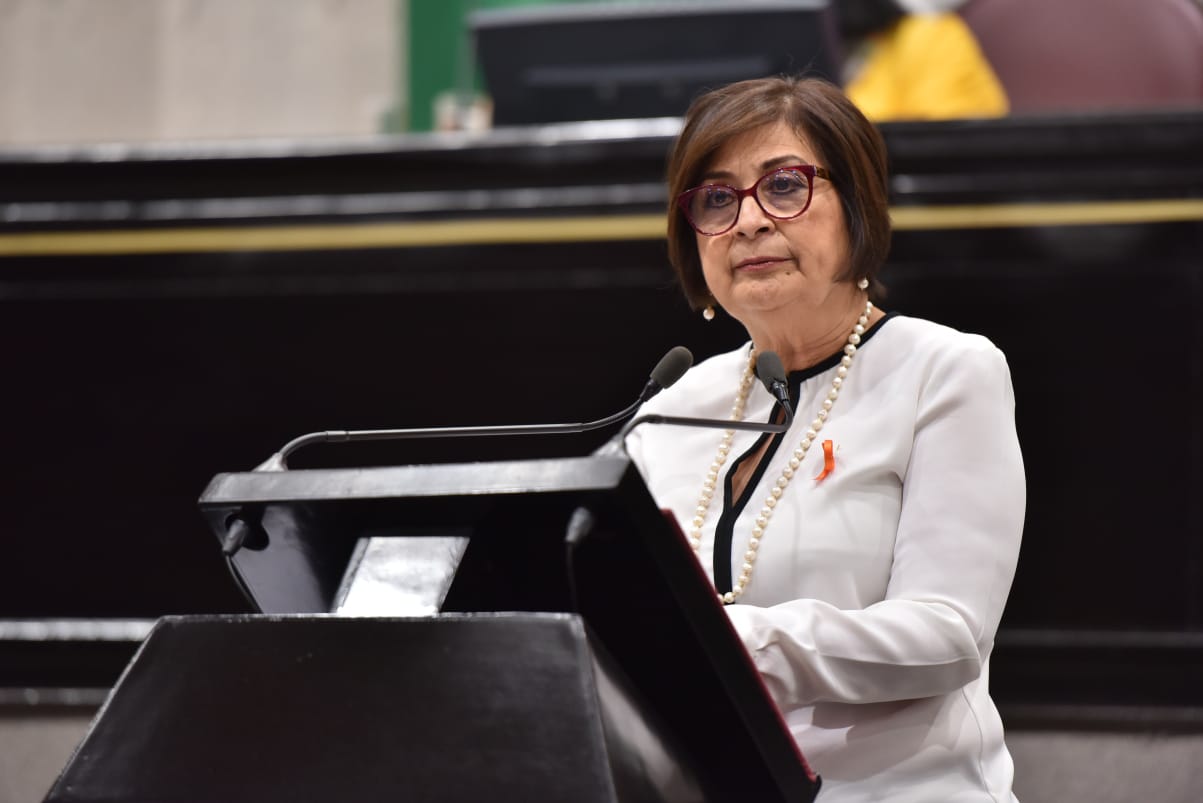A favor del voto electrónico y a reducción de prerrogativas a partidos políticos en Veracruz: diputada Corro Mendoza
