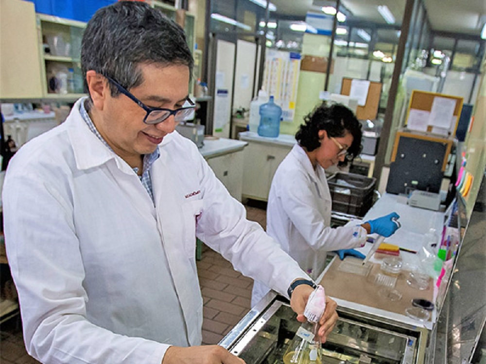 Realiza IPN estudios genéticos para inhibir infección de Salmonella