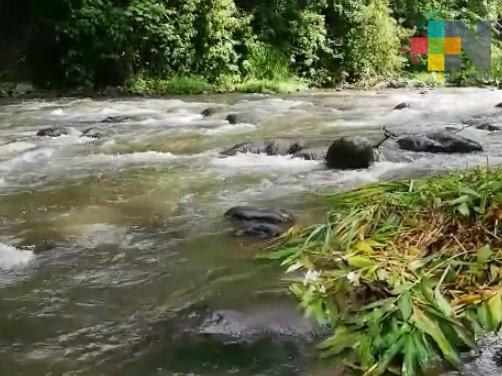 En Veracruz ríos y presas por debajo de su nivel normal