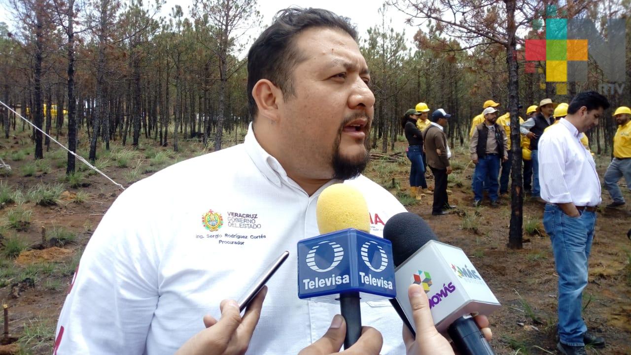 Cuatro municipios desviaron recursos para el tratamiento de desechos: PMA