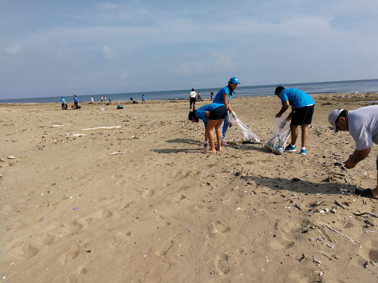 Ciudadanos limpiaron 2 kilómetros de playa en Coatzacoalcos