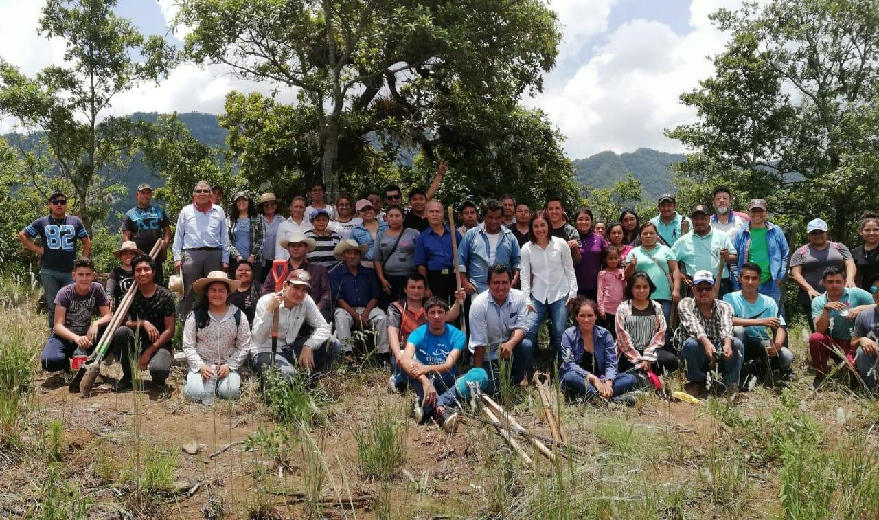 Activan Programa Reforestando Cuencas para rescatar cuerpos de agua