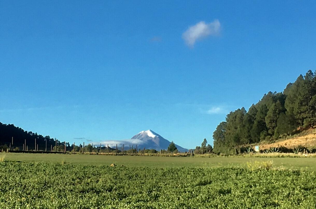 Rancho Viejo, Ver.