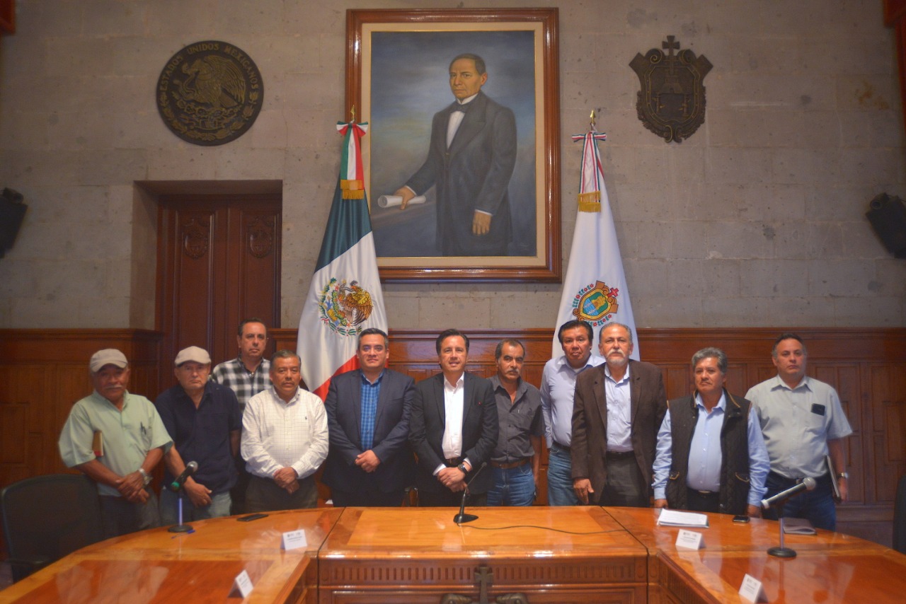 Estiman cafeticultores incremento del 30% en producción para el ciclo 2019-2020