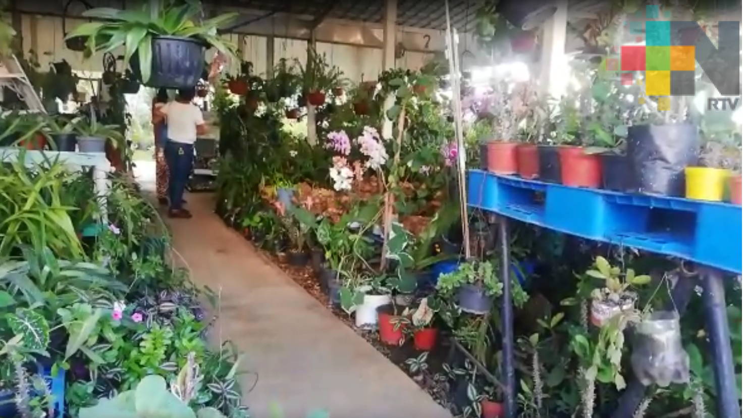 Regresó la Feria de la Flor a Fortín