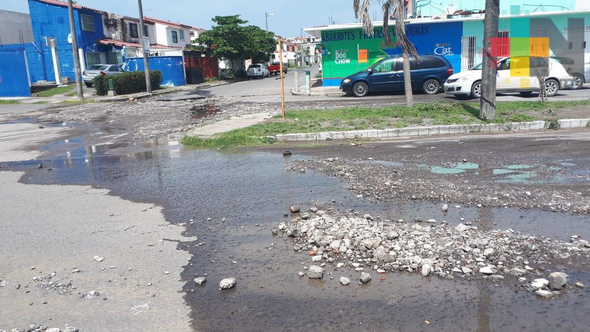 Destrozadas calles de fraccionamiento Geo Villas Los Pinos