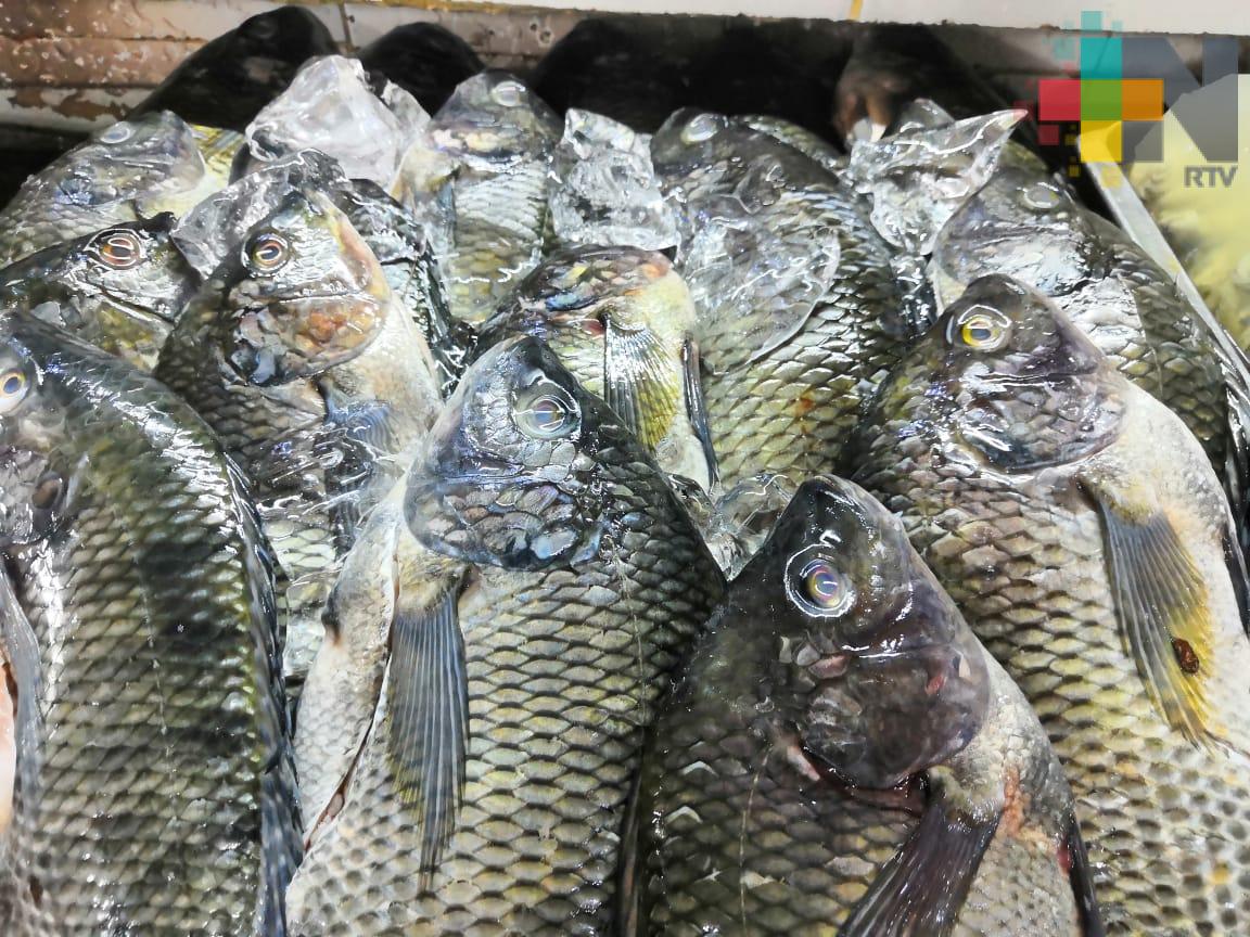 Desabasto y baja calidad de barras de hielo, reportan comerciantes de mercados