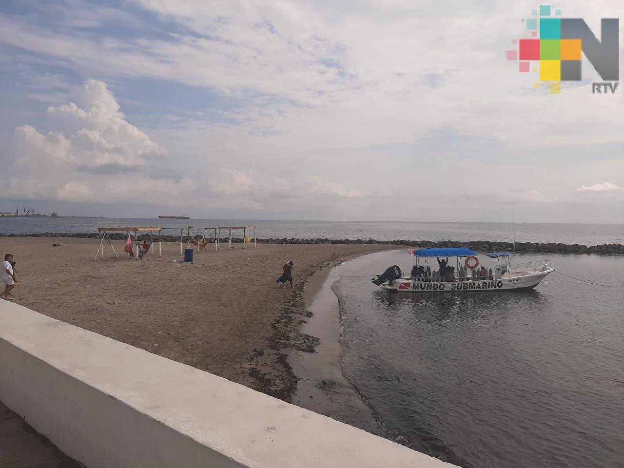 Este sábado «GreenFriends» limpiará la playa Martí