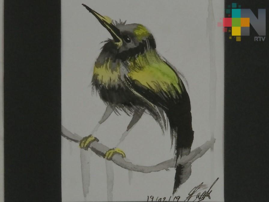 Universidad Veracruzana exhibe colectiva en los talleres libres de Coatepec