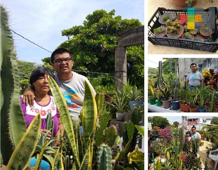 Venta de cactus y plantas ornamentales; sustento principal de madre e hijo