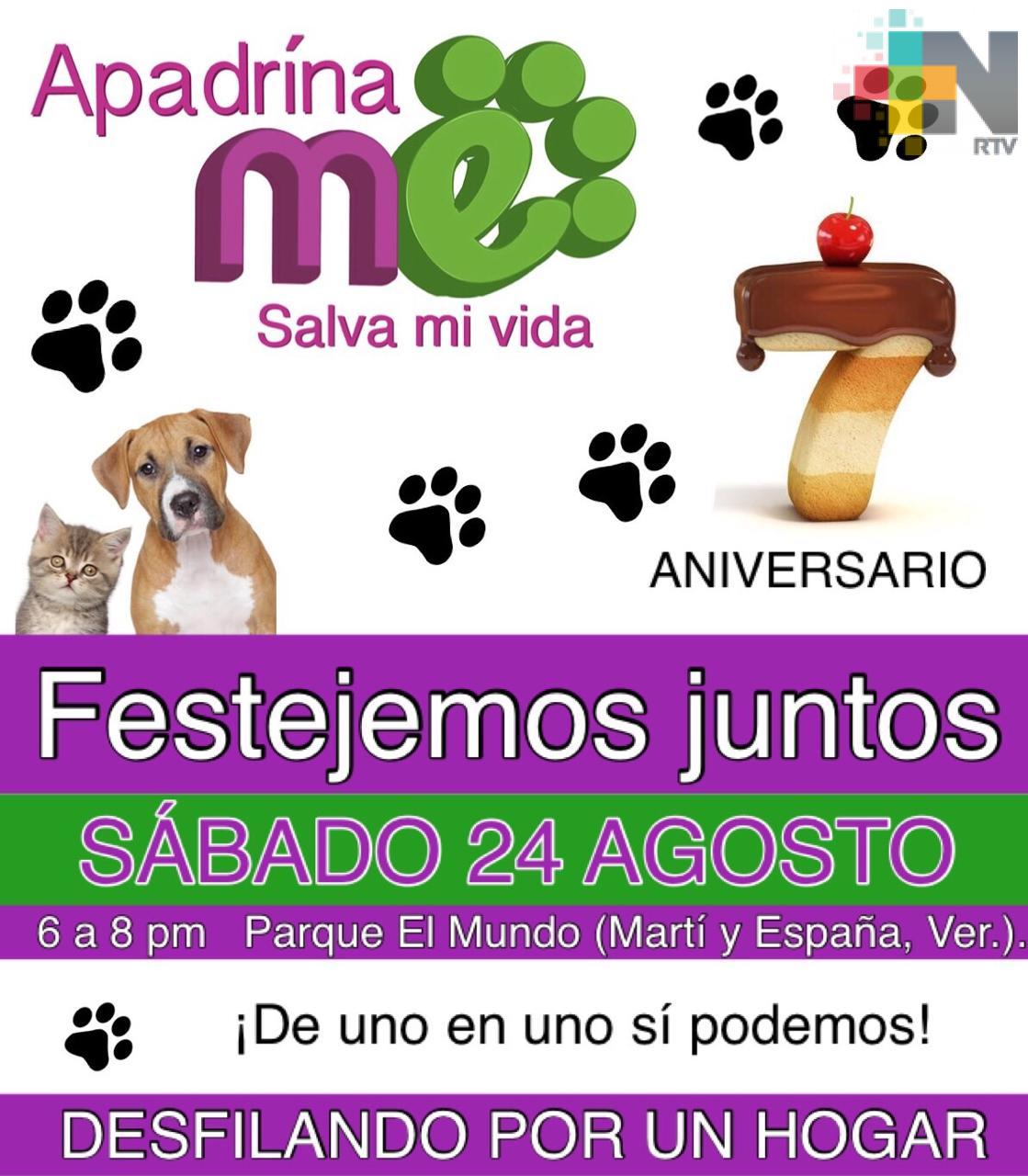 Realizarán desfile para adopción de mascotas