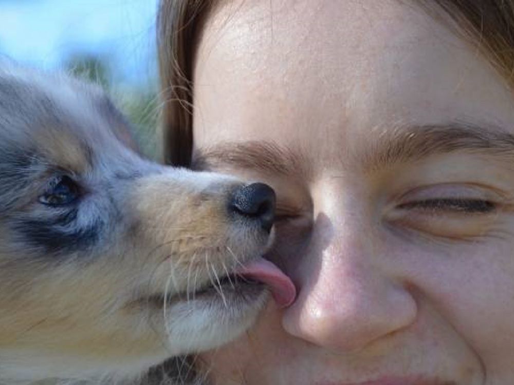 Besos de mascotas pueden causar enfermedades, advierten especialistas