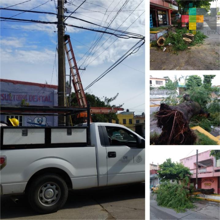 Tormenta eléctrica deja sin servicio de luz a colonias de Coatzacoalcos