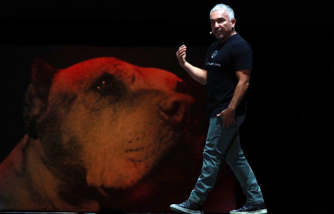 César Millán reconoce labor de perros héroes durante su espectáculo