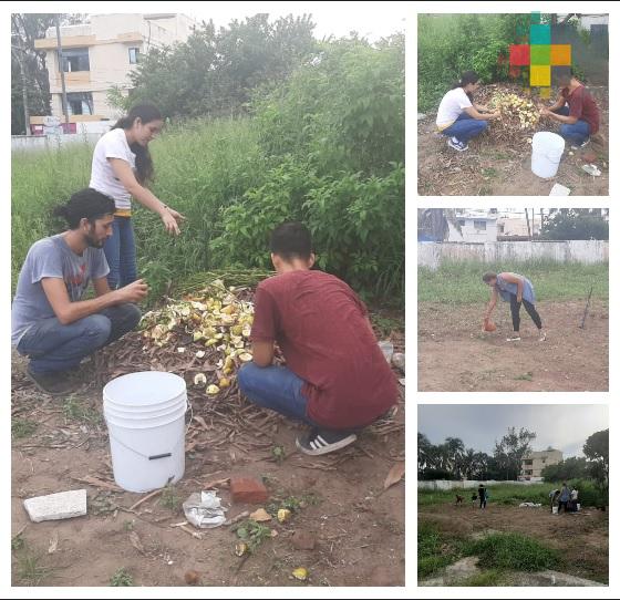 Colectivo pone en marcha huerto comunitario en Veracruz puerto