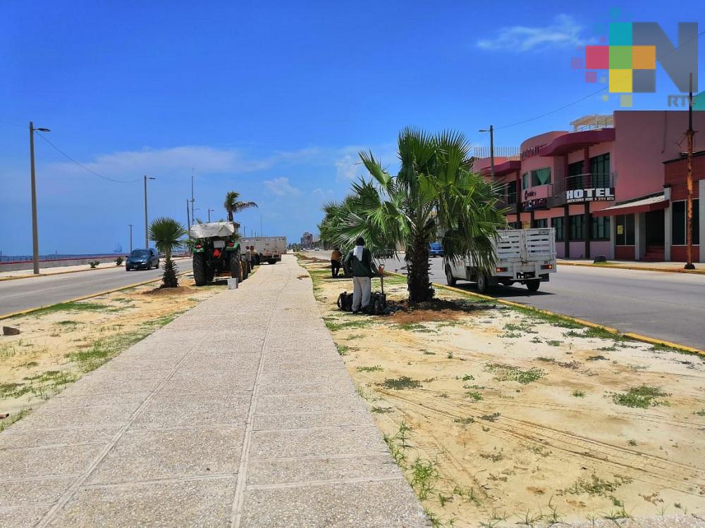 Embellecen malecón costero de Coatzacoalcos