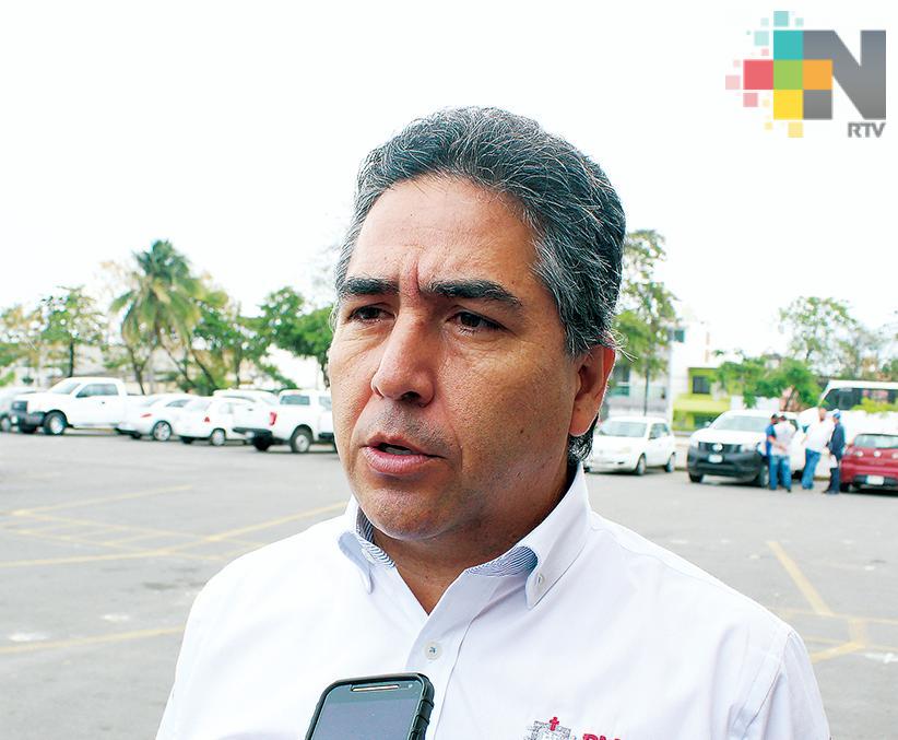 PMA gestionará construcción de pasos de fauna en Riviera Veracruzana