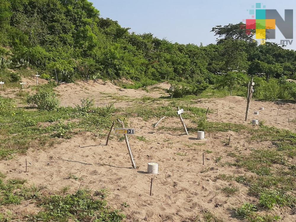 Concluye búsqueda de personas desaparecidas en Colinas de Santa Fe municipio de Veracruz