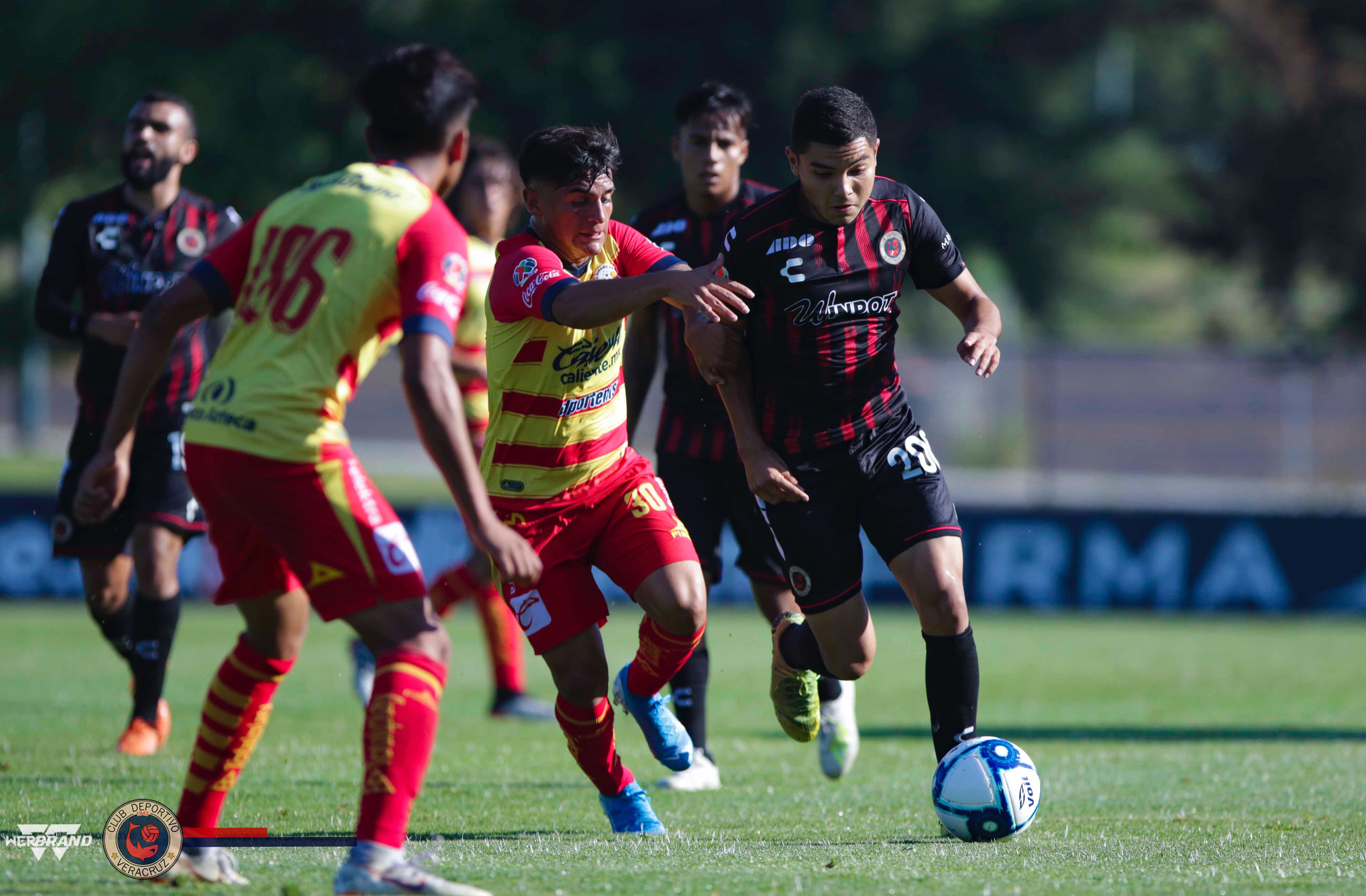 Filiales sub 17 y sub 20 de Tiburones, perdieron en Morelia