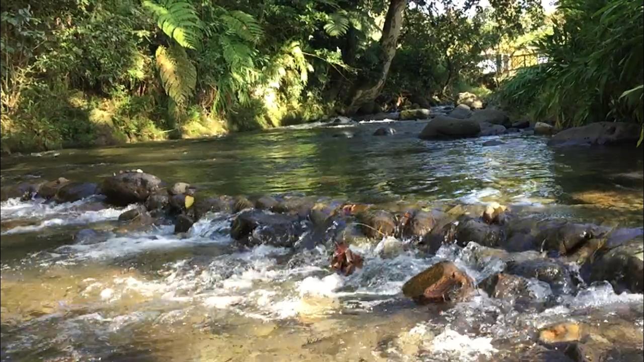 Coatepec está listo para recibir al turismo en cascadas, ríos y balnearios