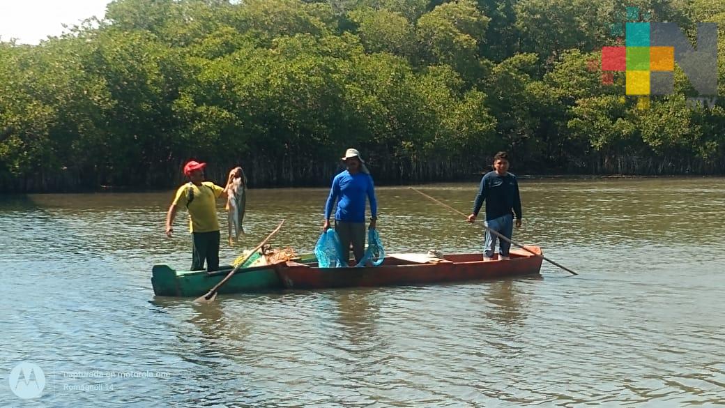 Pescadores de Vega de Alatorre, afectados en su economía por pandemia