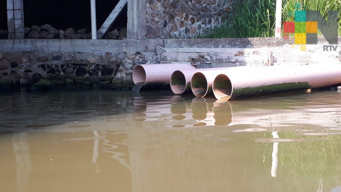 Descargas de aguas negras contaminan área natural protegida de Arroyo Moreno