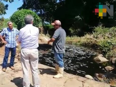 Alcoholera derrama miles de litros vinaza a un arroyo en los límites de Yanga y Atoyac
