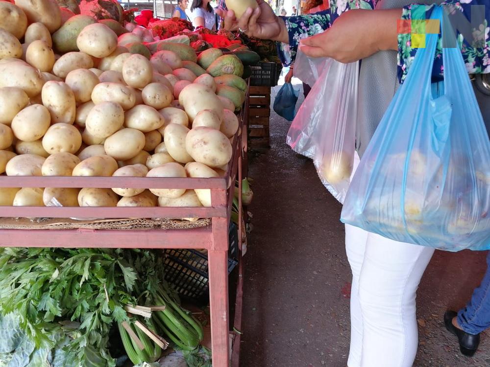 Se estima reducir de 5 al 10% al año uso de bolsas de plástico en Veracruz: Ambientalista