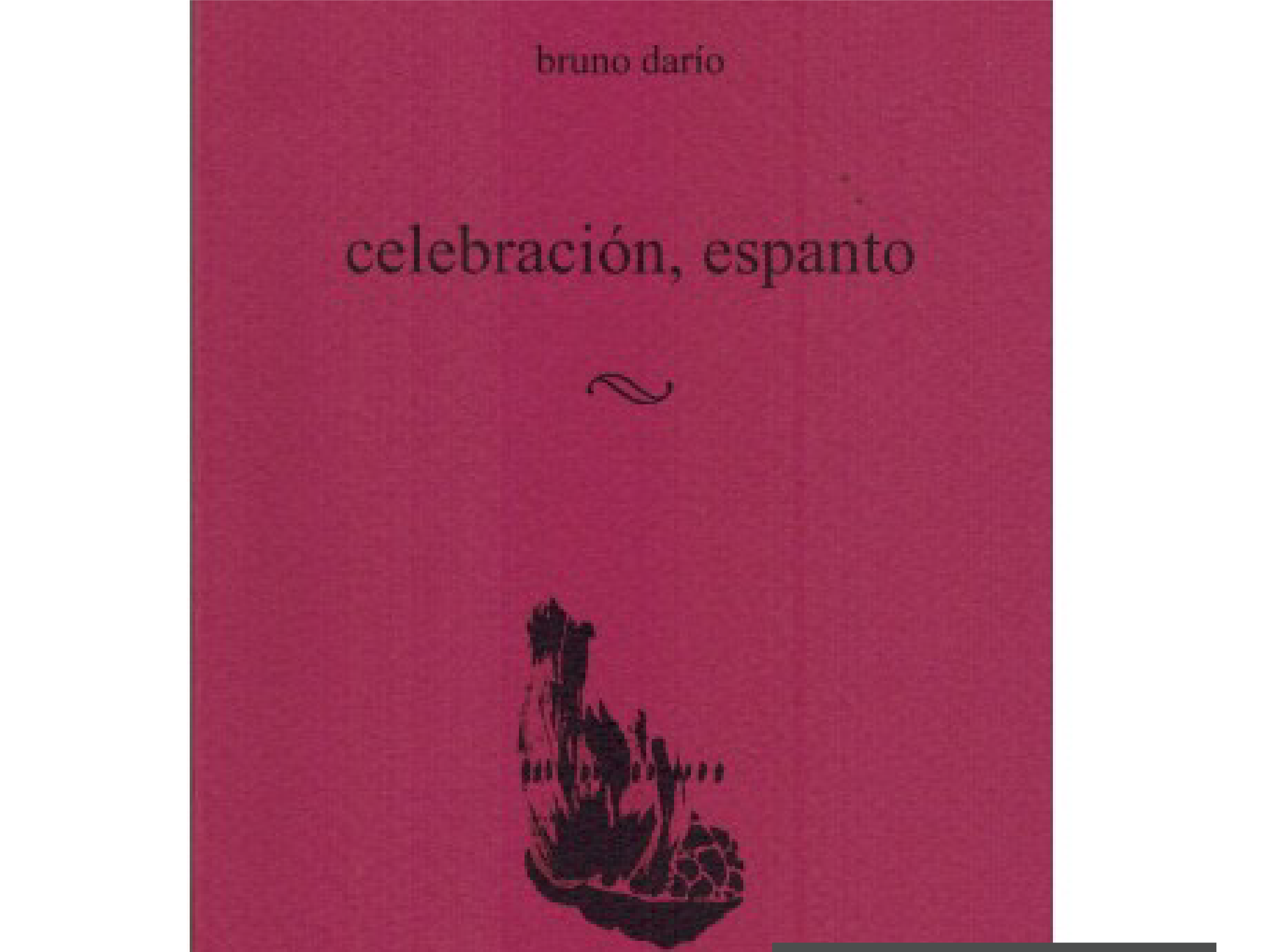 Presentación del libro “celebración, espanto”, en Casa de Cultura de Coatepec