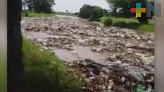 Deben ser denunciados responsables de ecocidio en río Blanco: Dalos Ulises