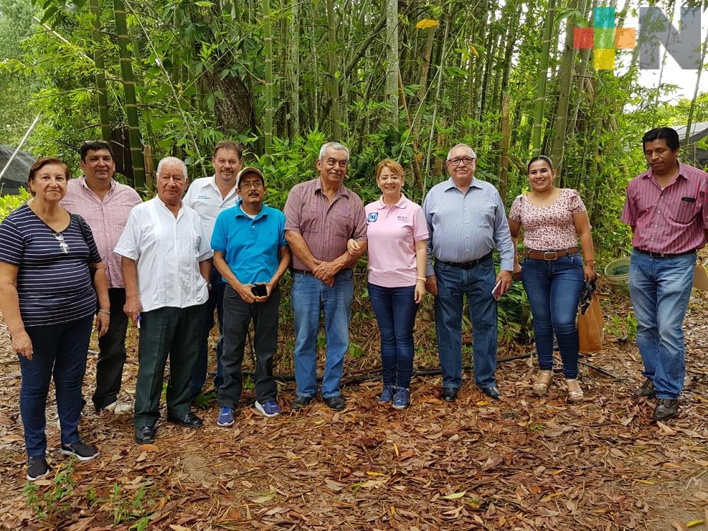 Diputada María de Jesús Martínez Díaz dona dos mil plantas de bambú para rescate de río Bobos