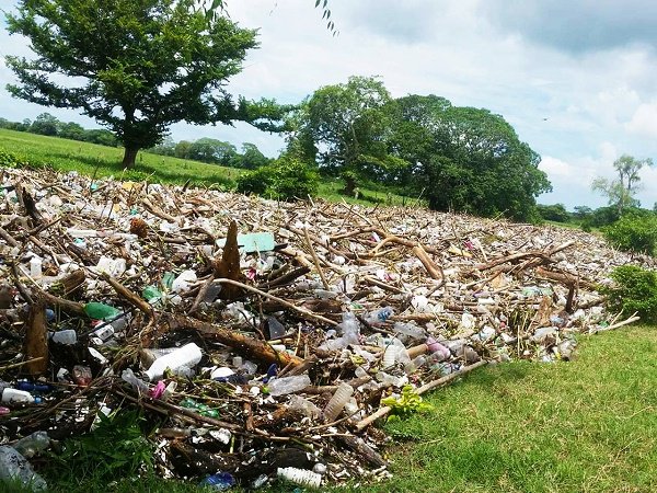 Retiradas 14 toneladas de basura del río Blanco: Sedema