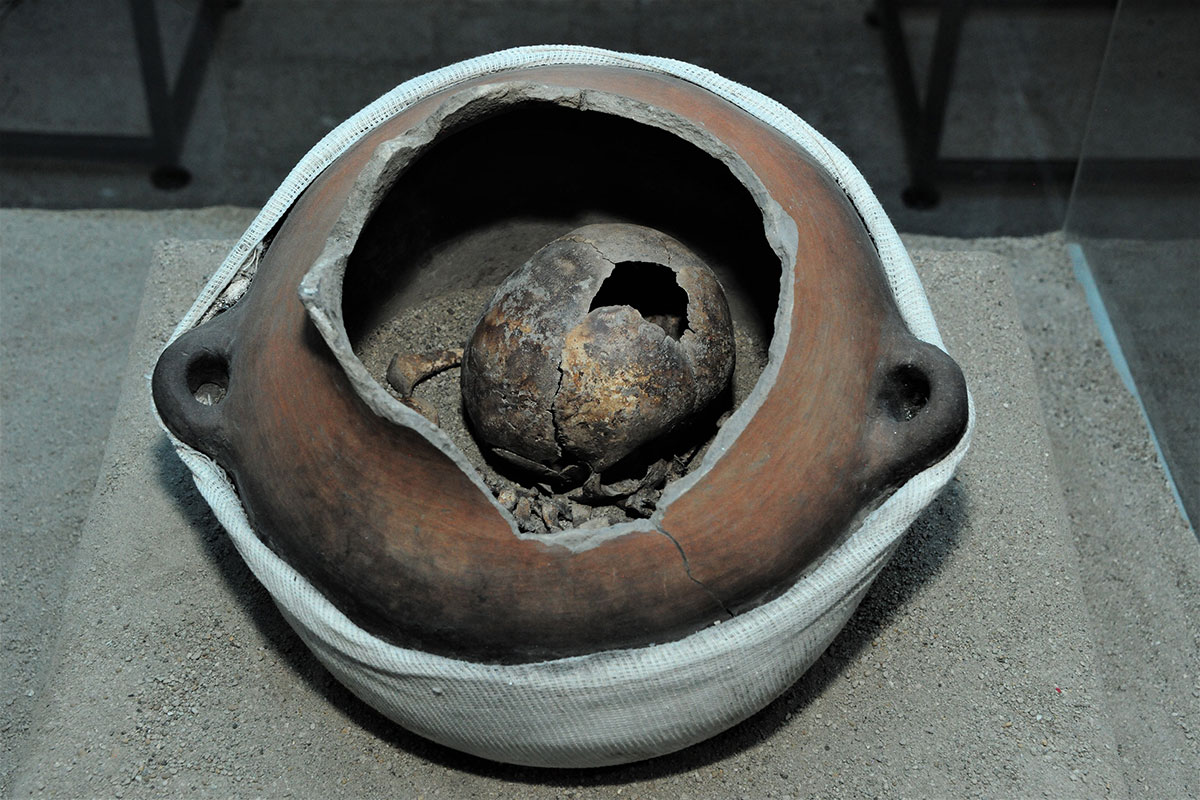 Exposición revela las antiguas costumbres funerarias de Tlatelolco