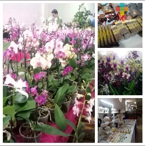 Expo Feria Artesanal de La Orquídea en Coatepec ofrece gran variedad de artículos