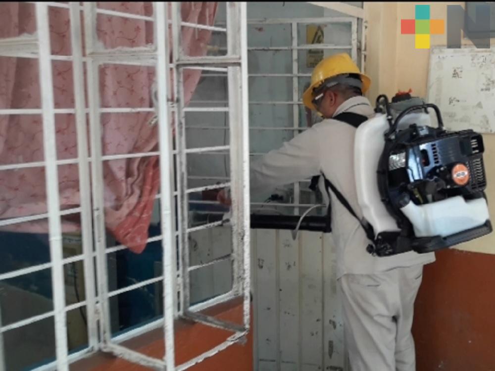 Autoridades de Martínez de la Torre trabajan en eliminar criaderos del mosquito Aedes aegypti