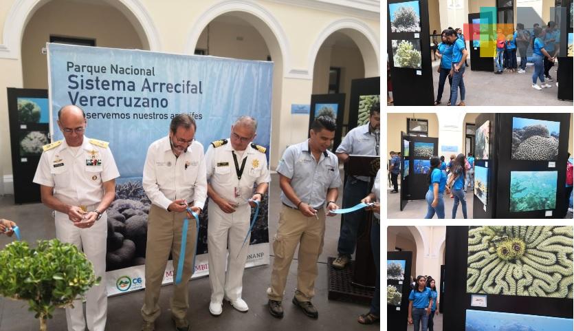 Inauguran exposición fotográfica «Los Arrecifes de Veracruz: vida, belleza y sustento»