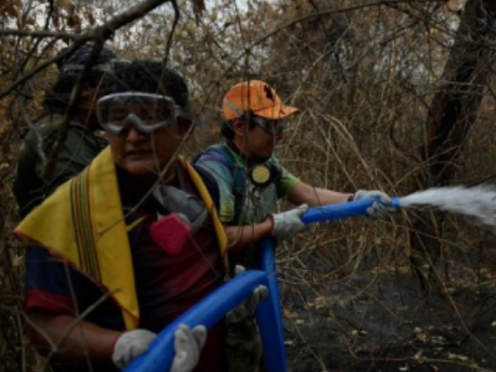 Incendios en Amazonas siguen sin control con riesgo de aniquilamiento