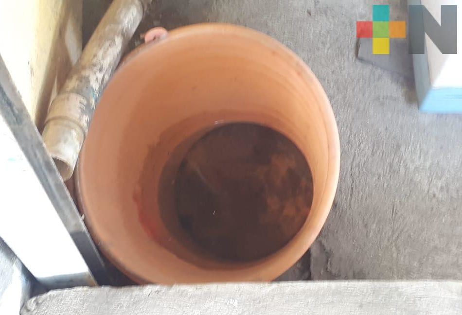 Piden extremar cuidados para evitar criaderos del mosquito transmisor del dengue