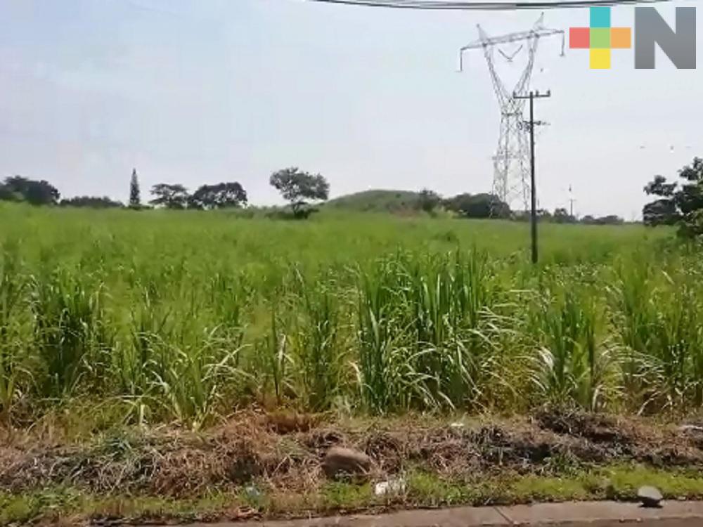 Sedema recorre municipios del centro de Veracruz para crear centro de residuos sólidos