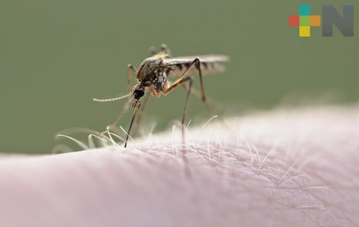 La temporada de dengue 2019 en México está próxima a concluir