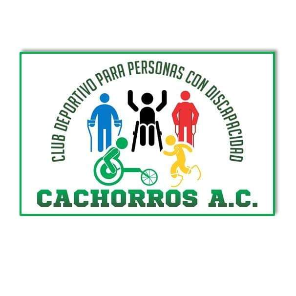 Cachorros de Acayucan competirá en Paralimpiada Nacional