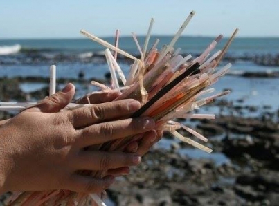 Chile retira 200 millones de popotes plásticos del mercado en un año