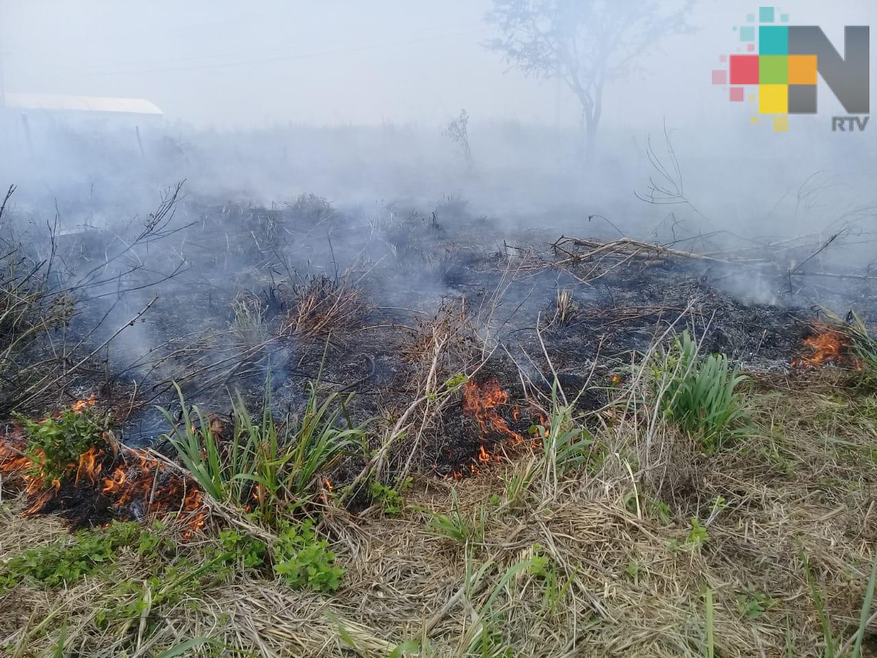 Confinamiento ha reducido incendios de pastizales: PC municipal de Veracruz