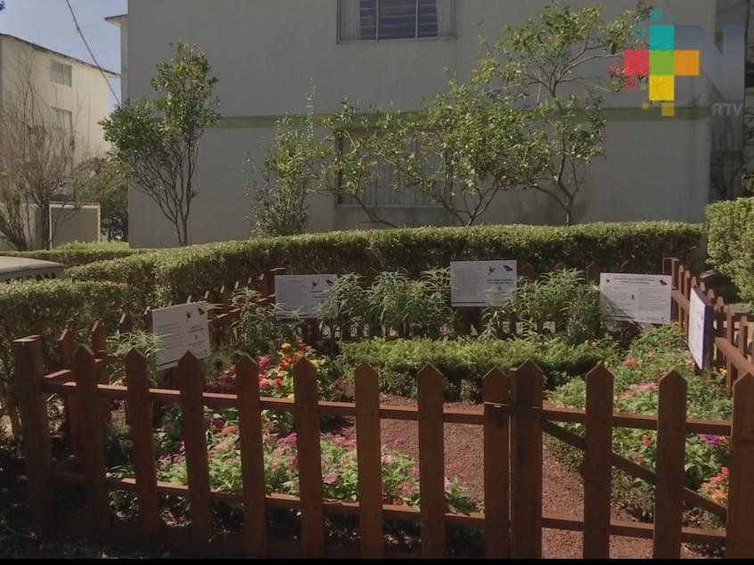 Inauguran jardín para proteger a polinizadores en Xalapa